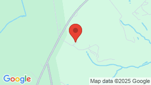 google map image