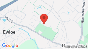 google map image