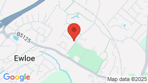 google map image