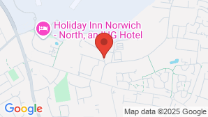 google map image