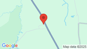 google map image