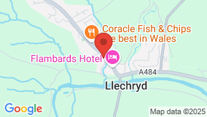 google map image