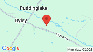 google map image