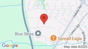 google map image