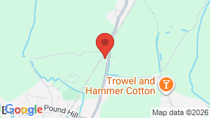 google map image