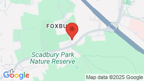google map image