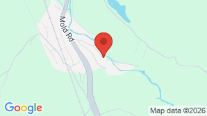 google map image