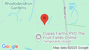google map image