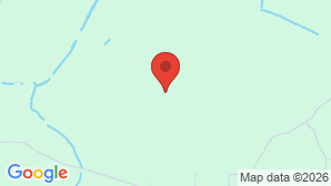 google map image