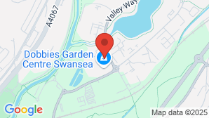 google map image