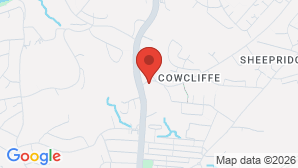google map image