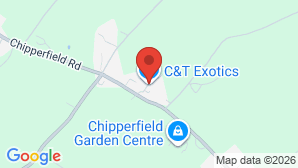 google map image