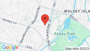 google map image