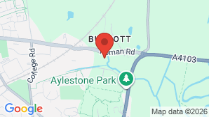 google map image