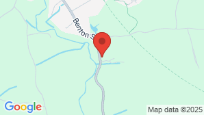google map image