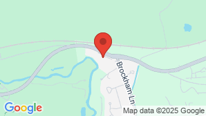 google map image