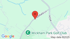 google map image