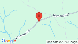 google map image