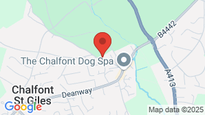 google map image