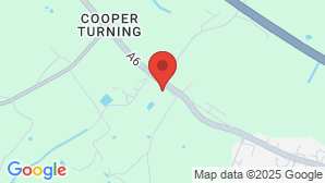 google map image