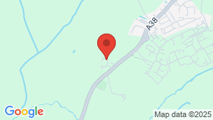 google map image