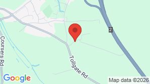 google map image