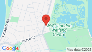 google map image