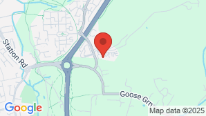 google map image