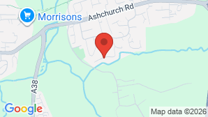 google map image