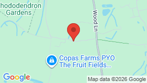 google map image