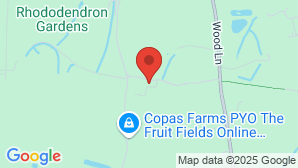 google map image