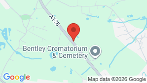 google map image