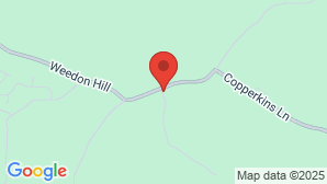 google map image
