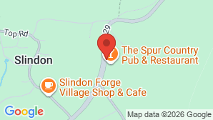 google map image