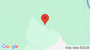 google map image