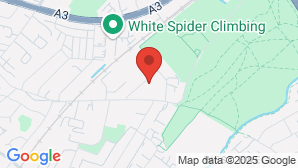 google map image