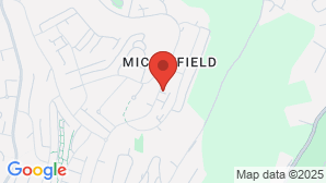google map image