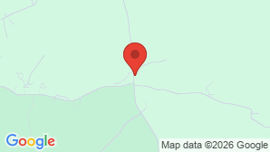 google map image
