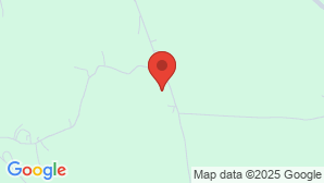 google map image