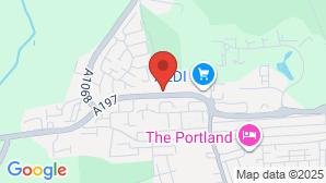 google map image