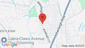 google map image