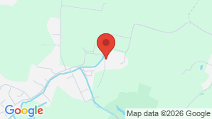google map image