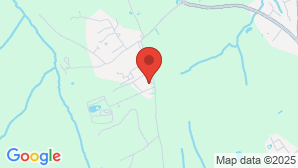 google map image