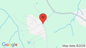google map image