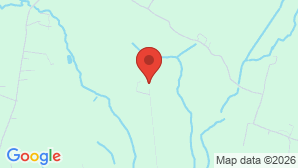 google map image