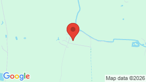 google map image