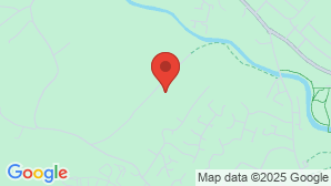 google map image