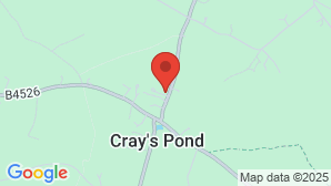 google map image
