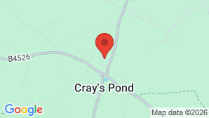 google map image