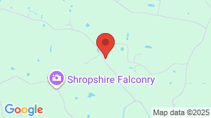 google map image